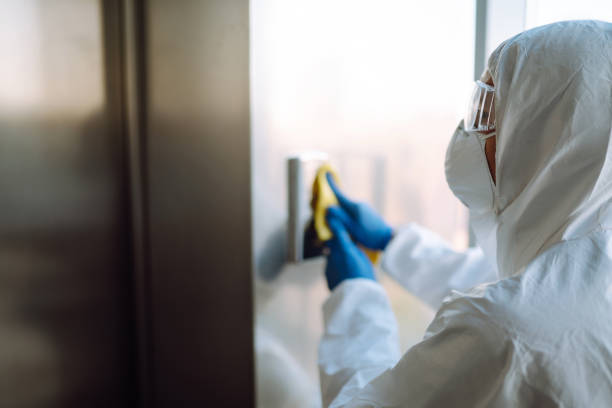 Mold Removal Process in Wahneta, FL